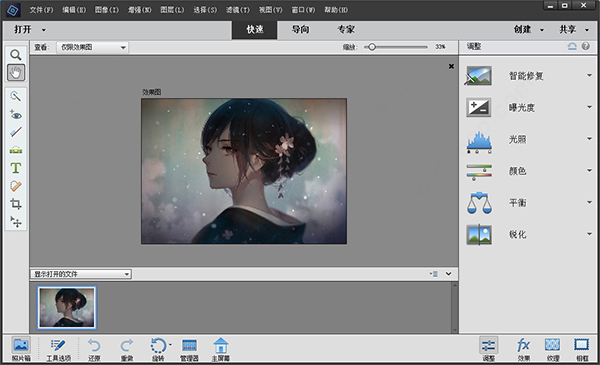 adobe photoshop elements 2021破解版