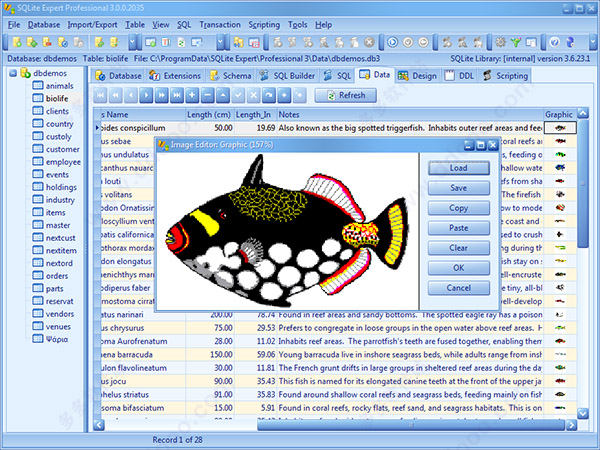 SQLite Expert Professional Edition