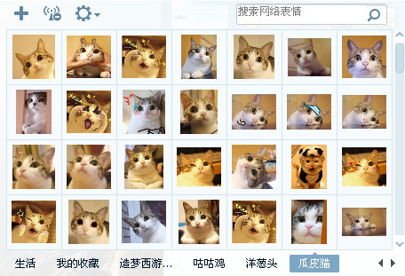 瓜皮猫qq表情包