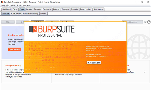 burp suite professional2020中文破解版