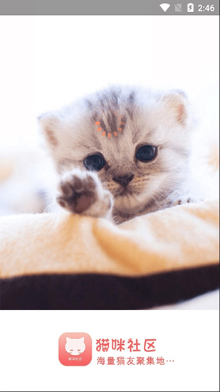 猫咪社区app破解