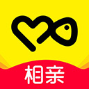 伊对相亲交友app