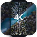 4k wallpapers