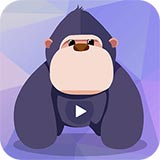 聚星直播安卓版