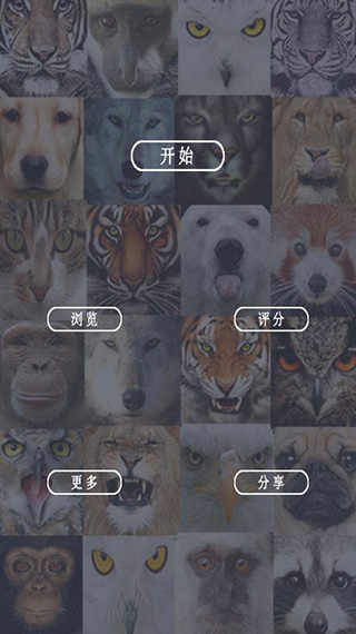 魔术美颜相机
