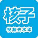 视频去水印精灵破解版