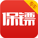 专车保镖