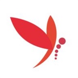 蜻蜓直播安卓版