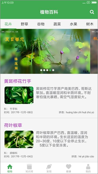 植物百科手机