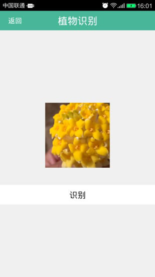 植物识别软件