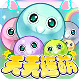 天天连萌攻略