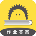 作业答案大全