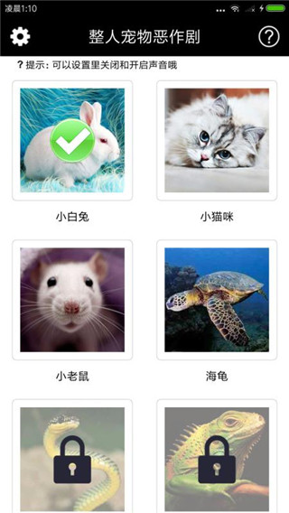 整人宠物恶作剧安卓版