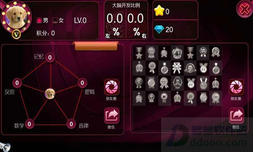 最强大脑破解版