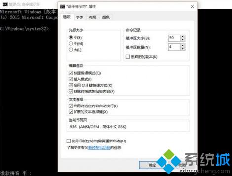 命令提示符窗口