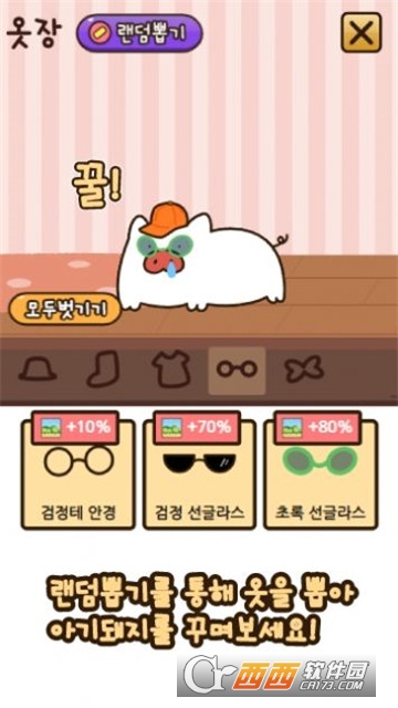 饲养小猪