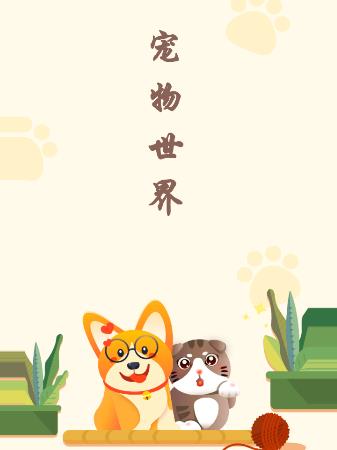 宠物世界软件
