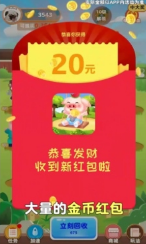 一起来养猪