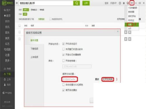 爱奇艺视频格式转