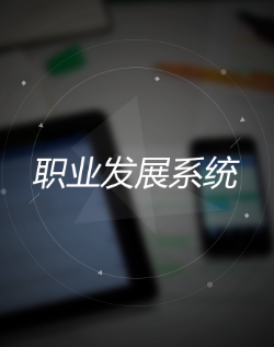 职业发展系统