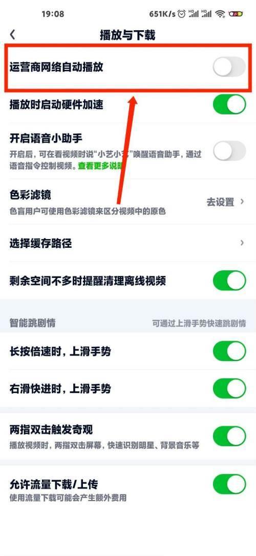 爱奇艺怎么开启运营商网络自动播放功能