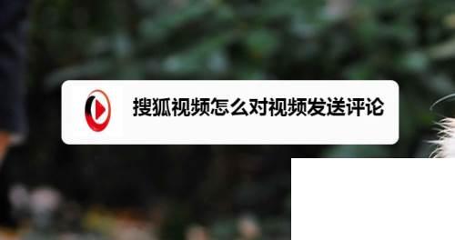 搜狐视频怎么对视频发送评论