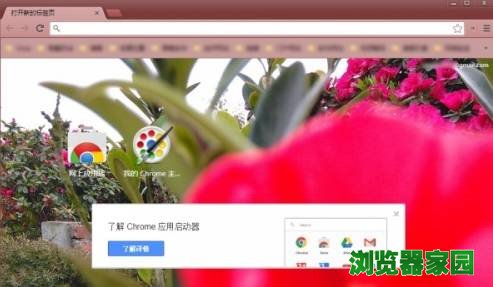 谷歌浏览器主题美化自定义设置方法[多图]