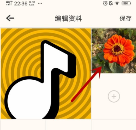 音遇怎么改头像 手机音遇软件怎么更换头像