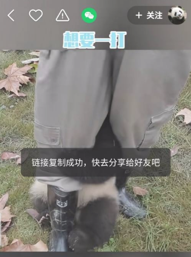 快手视频如何去掉快手号  快手视频去掉快手号方法