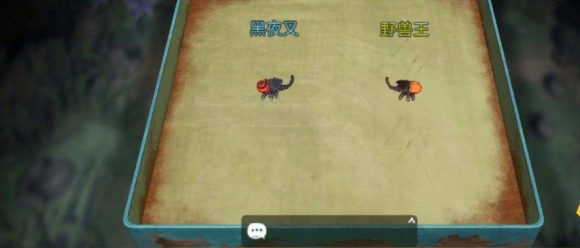 小森生活甲虫任务怎么做 小森生活甲虫捕捉方法介绍