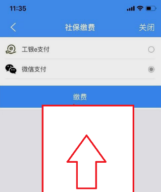 江西人社app怎么缴费 江西社保交费方法