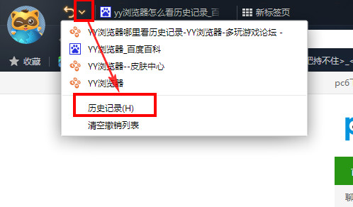 YY浏览器怎么看历史记录 YY浏览器查看历史记录教程查看方法