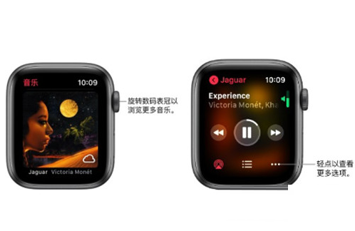 Applewatchseries6怎么单独播放音乐?Applewatchseries6单独播放音乐方法