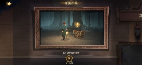 哈利波特魔法觉醒自强不息成就怎么做