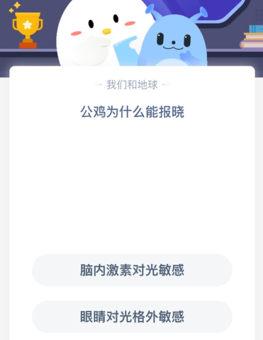 公鸡为什么能报晓？