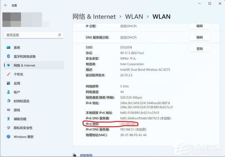局域网怎么设置共享？Win11系统设置局域网共享的方法
