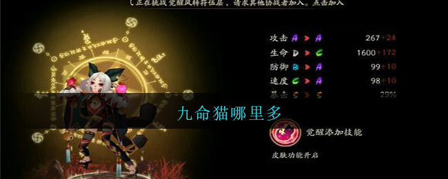 九命猫哪里多