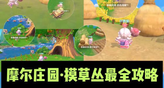 摩尔庄园草丛怎么买？怎么获得？摩尔庄园手游草丛收集隐藏福利地点大全