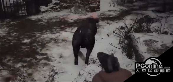 生化危机8狩猎怎么玩？狩猎玩法介绍