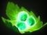 dota2 7.24更新了什么 dota2 7.24更新日志