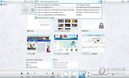 Pivot浏览器