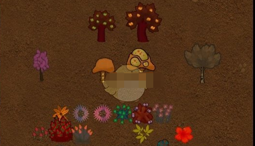 环世界神奇植物